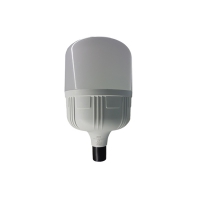 قیمت + خرید آنلاین فوری لامپ ال ای دی 20 وات پی جی تی مدل استوانه پایه E27