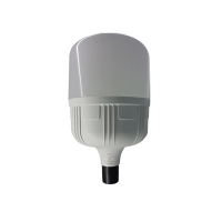 قیمت + خرید آنلاین فوری لامپ ال ای دی 30 وات پی جی تی مدل استوانه پایه E27